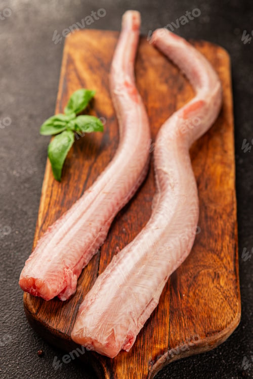 Preview: Raw rock eel fish rock salmon shark seafood small-spotted catshark tasty snack food