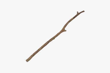 Preview: Weathered Forest Stick with Branch