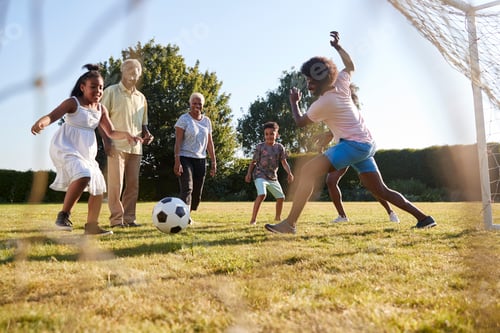 Preview: Multi generation black family playing football in a garden