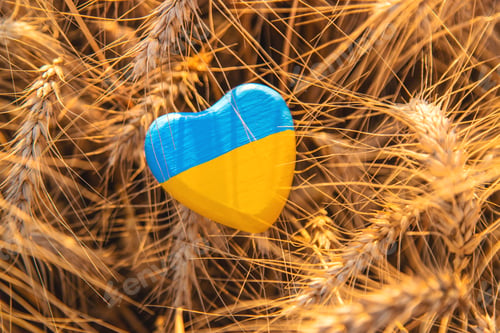 Preview: Flag of Ukraine in a wheat field. Selective focus.