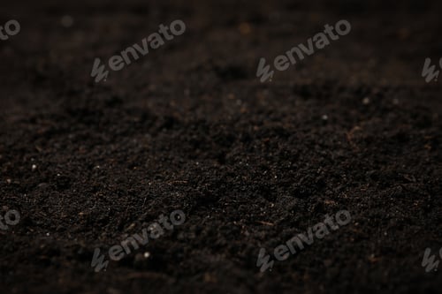 Preview: Fertile soil texture background. Agriculture and gardening
