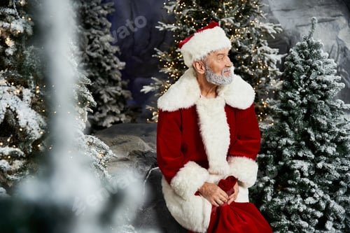 Preview: A joyful Santa Claus sits amidst snowy trees during a festive winter celebration