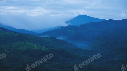 Preview: Forest and mountain views on cloudy morning