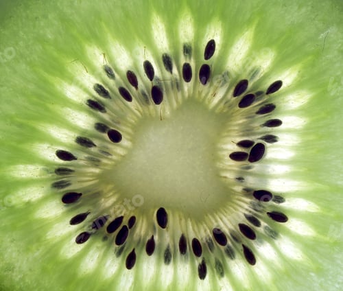 Preview: Sliced Kiwi Closeup On Backlit