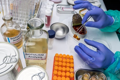 Preview: Experienced laboratory scientist analyzing a sample from a canned food can