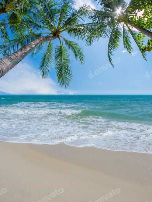 Preview: Palm and tropical beach