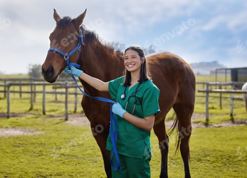 Preview: Shot of a young veterinarian putting a bandage on a horse on a farm