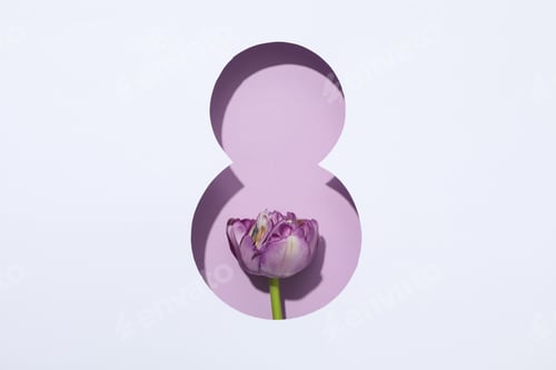 Preview: Concept of 8 march, Women day, top view