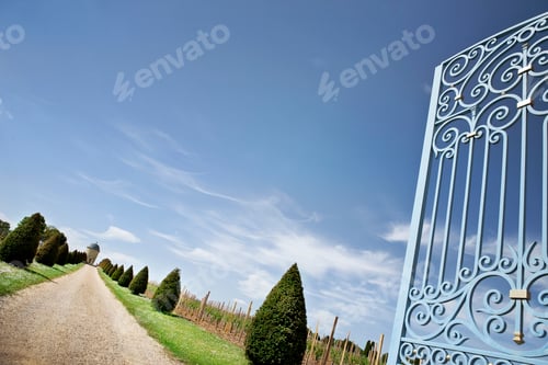 Preview: Welcome in a French winery