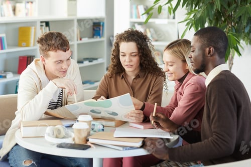 Preview: Multi-Ethnic Group of Students in Library