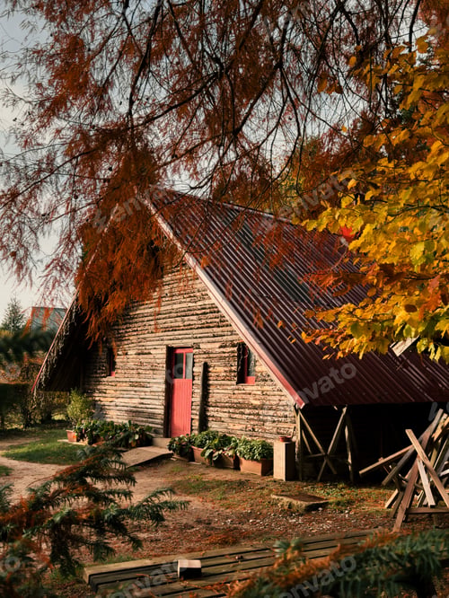 Preview: little house under autumn trees