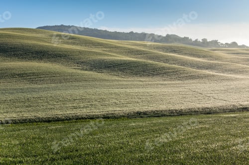 Preview: Tuscan hills at misty morning