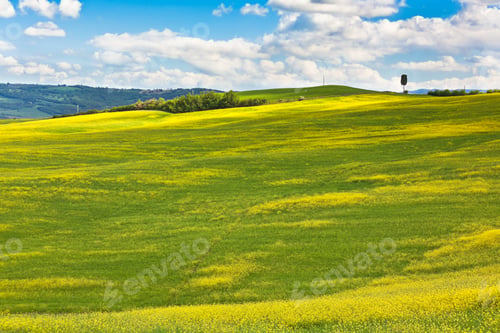 Preview: Outdoor Tuscan Val d'Orcia green and yellow hills