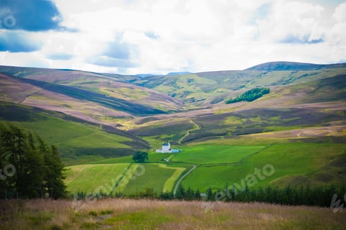 Preview: Green grass in the countryside with summer colors, trees