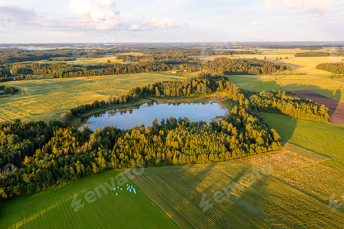 Preview: Lush green fields and tranquil lake surrounded by trees at sunset in rural landscape