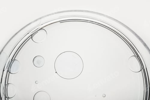Preview: Clear petri dish containing water and oil drops on white background