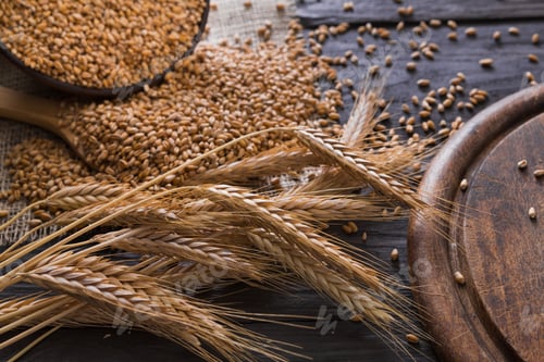 Preview: Bread bakery background, grain and wheat ears