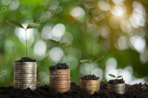 Preview: money stack step up growing growth saving money, Concept financial business investment.