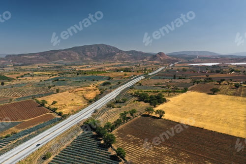 Preview: Campo de agave en la carretera