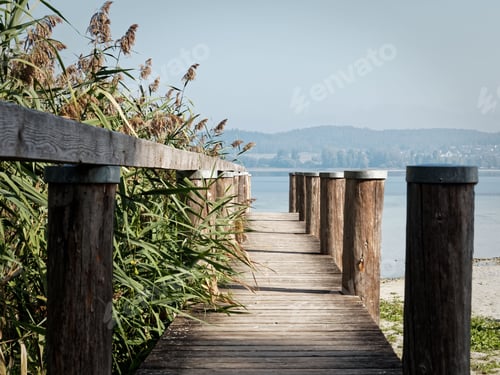 Preview: Detail of a wooden pier next to vegetation, with a lake at the end of the path