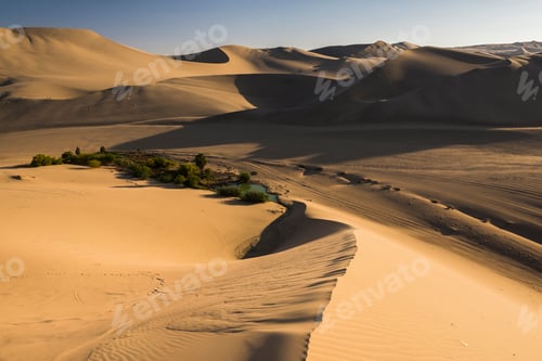 Preview: Sand dunes at sunset at Huacachina, a village in the desert, Ica Region, Peru, South America