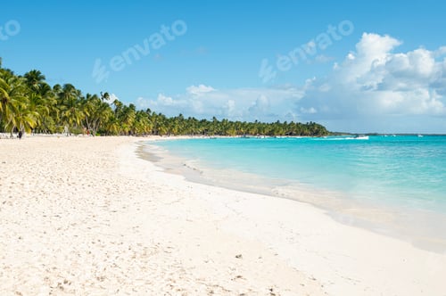 Preview: Beach landscape in the Dominican Republic, Saona Island