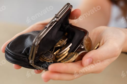Preview: Money, finance. Girl with wallet