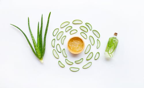 Vista previa: Aloe vera con rodajas y extracto sobre fondo blanco.