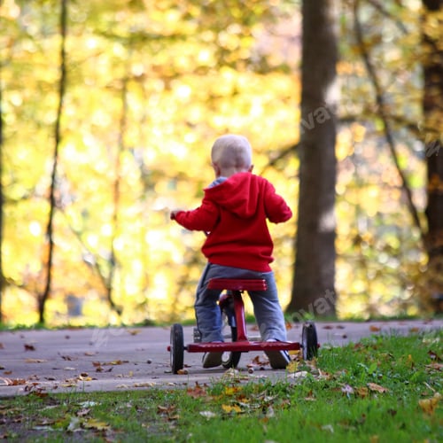 Preview: A toddler seen from behind with a red hooded sweatshirt riding a red trike with golden fall leaves.