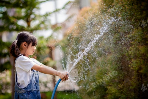 Preview: Asian little child girl water the plants. kid helps to care for the plants in the garden.