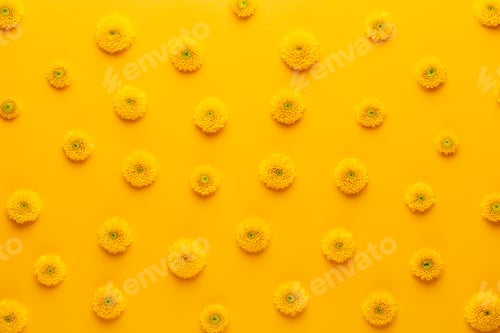Preview: Yellow flower pattern on a yellow background. Spring greeting card.