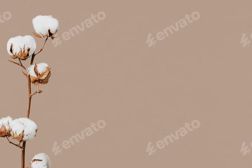 Preview: Minimal botanical background and wallpaper