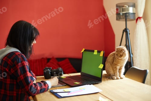 Preview: Creative female photographer with cute cat, using graphic drawing tablet and stylus pen