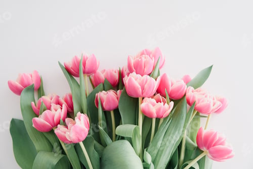 Preview: Bouquet of pink tulips on white wooden table. Anniversary celebration concept. Copy space.