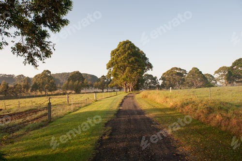 Preview: Farm Walking Track