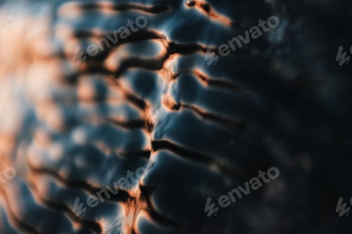 Preview: abstract texture of an ice frozen on a rock