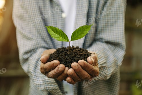 Preview: Man hands grabbing earth with a plant.The concept of farming and business growth.
