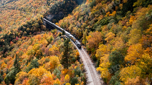 Preview: Aerial view of a train in beautiful autumn forest