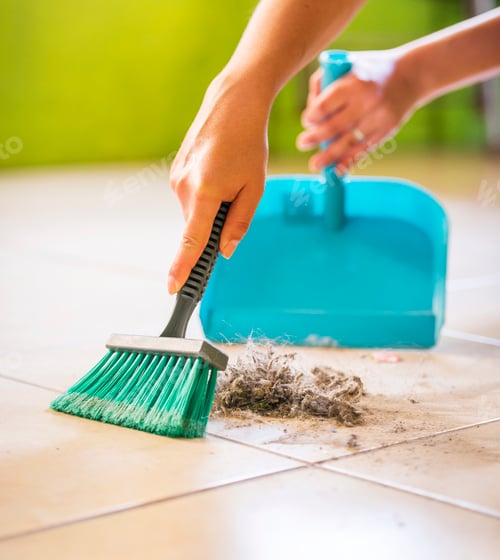 Preview: Woman House Cleaning