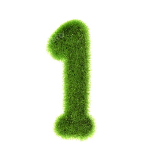 Preview: Grass "1" Number, Isolated On White Background.