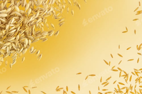 Preview: Frame from the stems and grains of oats