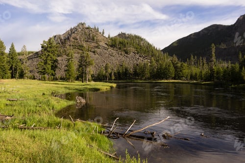 Preview: Madison River Flows Through Yellowstone West Side Entrance