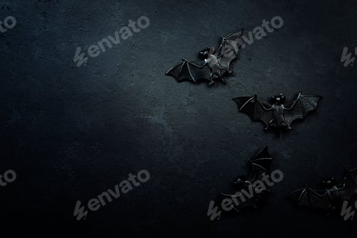 Preview: Happy Halloween black background with bats and spiders with copy space