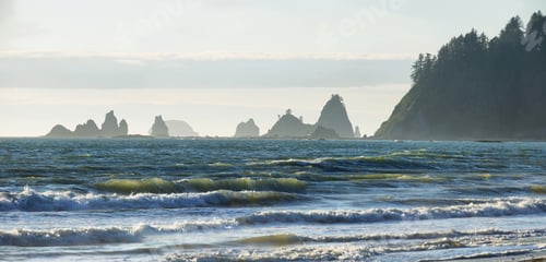 Preview: View of rocks in the ocean from Rialto beach