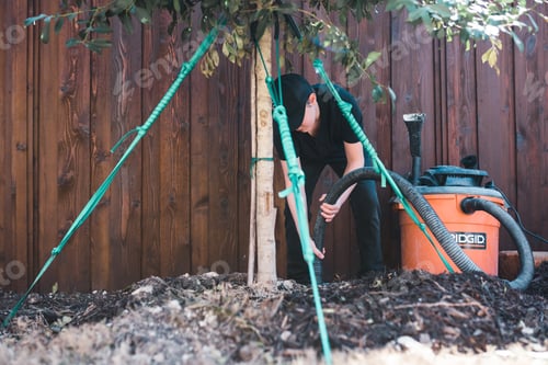 Preview: A child helps suck water with a shop vac to help prevent root rot of a young tree