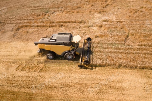 Preview: Aerial view of combine harvester harvesting large ripe wheat field. Agriculture from drone view.