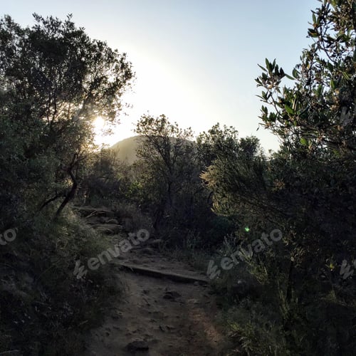 Preview: Walk every day...
