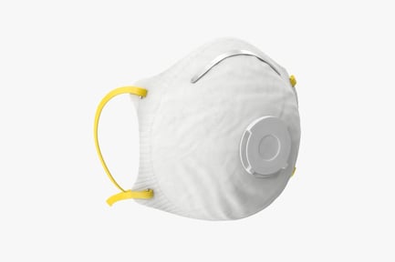 Preview: N95 Protective Mask with Valve