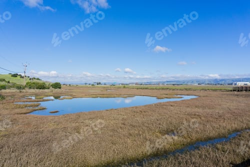 Preview: Wetlands on the shores of San Francisco bay