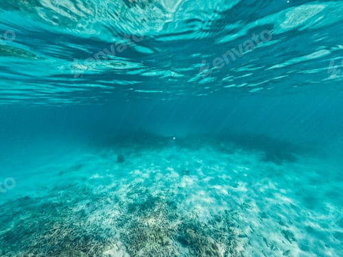 Preview: Underwater at the beach on the island